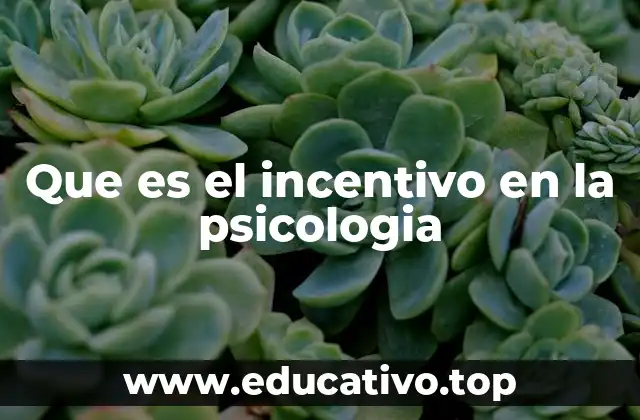 Que es el incentivo en la psicologia
