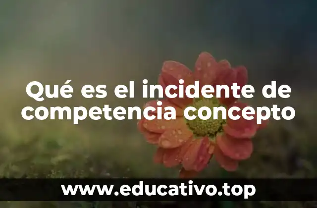 Qué es el incidente de competencia concepto