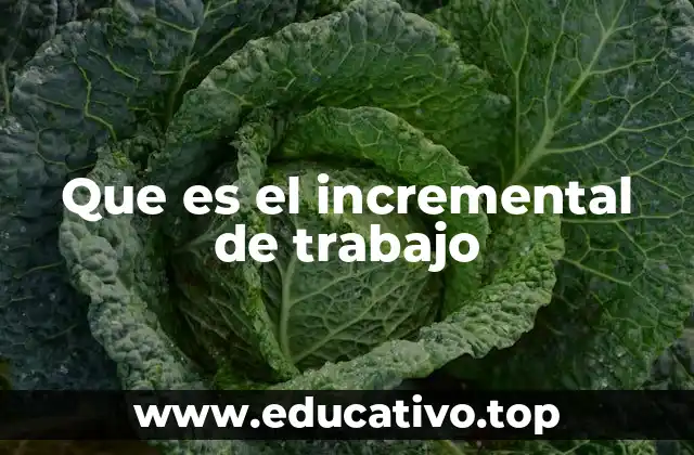 Que es el incremental de trabajo
