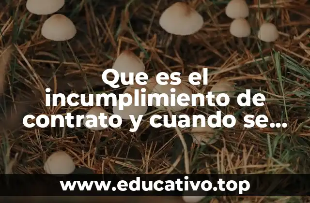Que es el incumplimiento de contrato y cuando se presenta