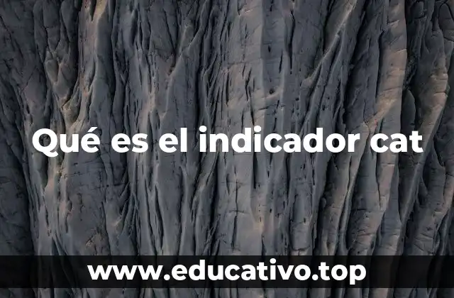 Qué es el indicador cat