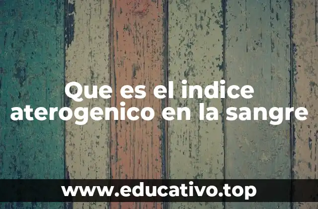Que es el indice aterogenico en la sangre