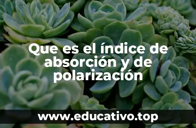 Que es el índice de absorción y de polarización