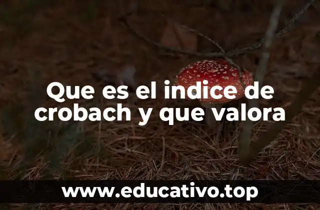 Que es el indice de crobach y que valora
