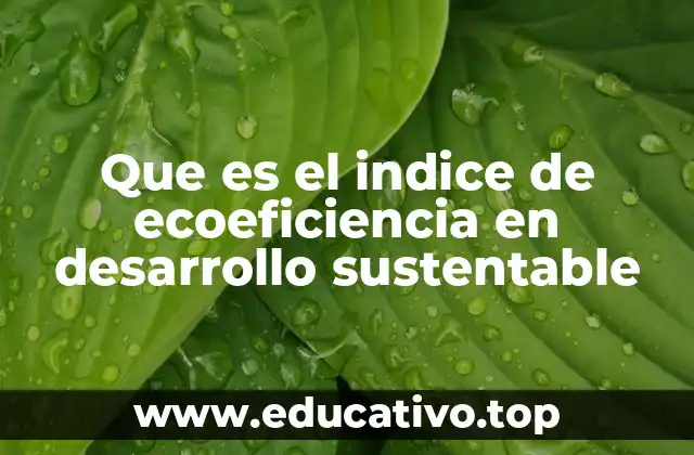 Que es el indice de ecoeficiencia en desarrollo sustentable