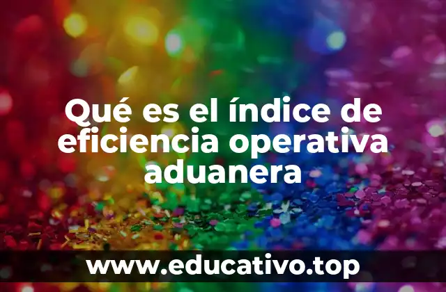 Qué es el índice de eficiencia operativa aduanera