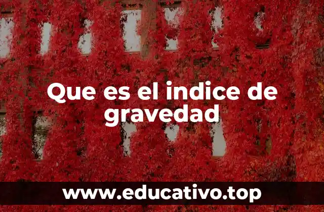 Que es el indice de gravedad