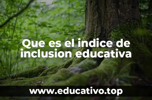 Que es el indice de inclusion educativa