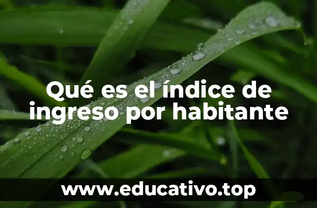 El papel del ingreso per cápita en el análisis económico