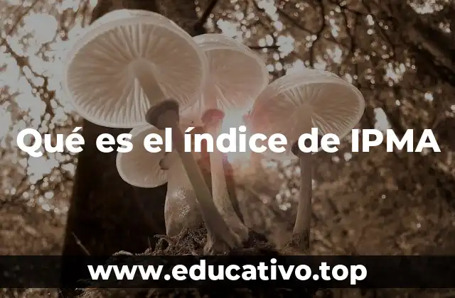 Qué es el índice de IPMA