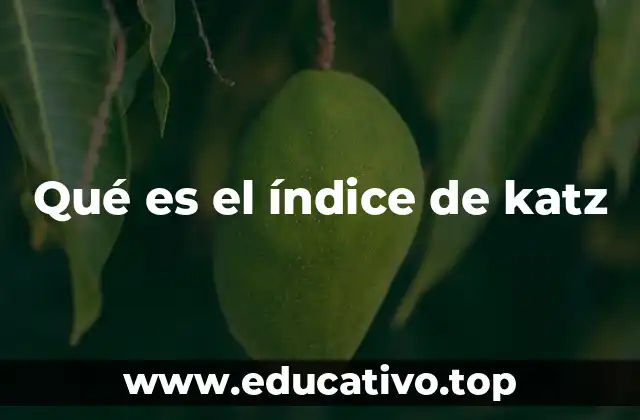 Qué es el índice de katz