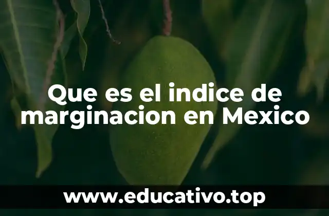 Que es el indice de marginacion en Mexico