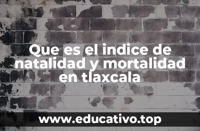 Que es el indice de natalidad y mortalidad en tlaxcala