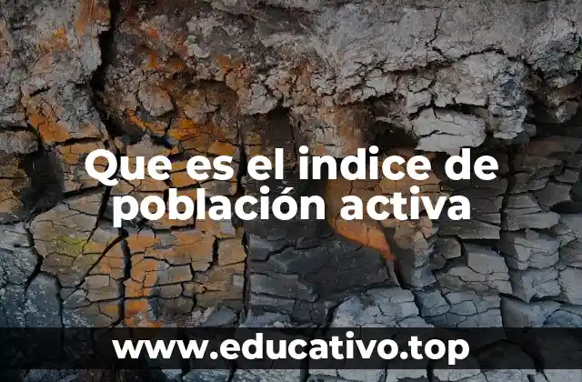 Medición y relevancia del índice en el análisis económico