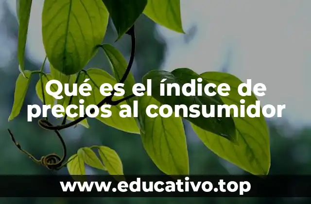 Qué es el índice de precios al consumidor