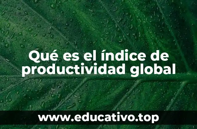 Qué es el índice de productividad global