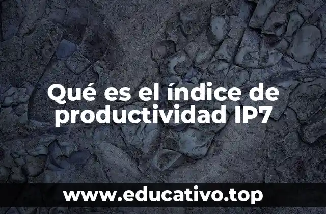 Qué es el índice de productividad IP7