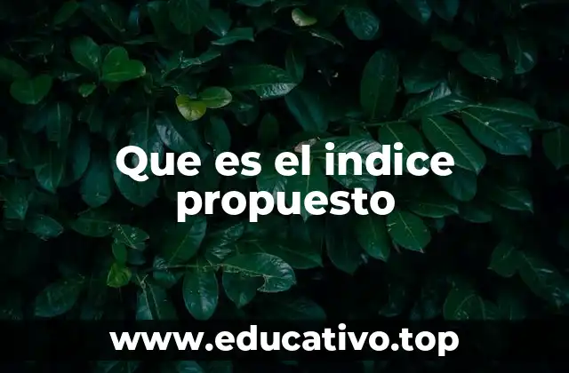 Que es el indice propuesto