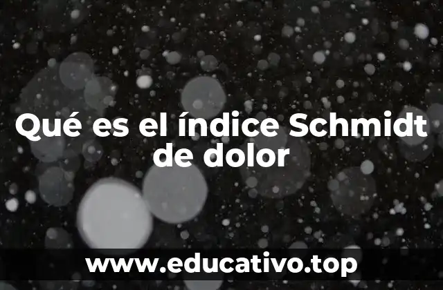 Qué es el índice Schmidt de dolor