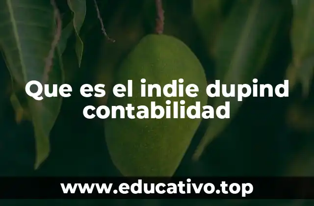 Que es el indie dupind contabilidad