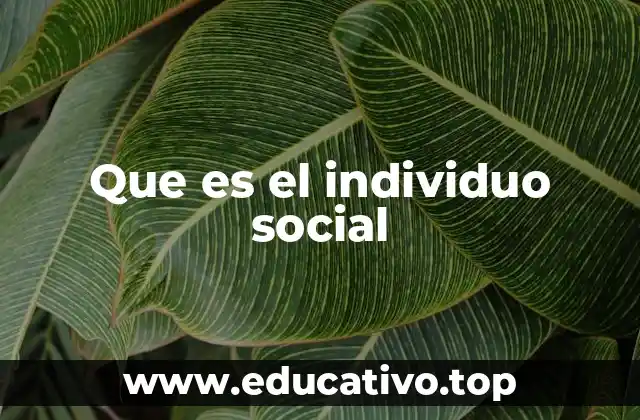 Que es el individuo social