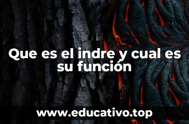 Que es el indre y cual es su función