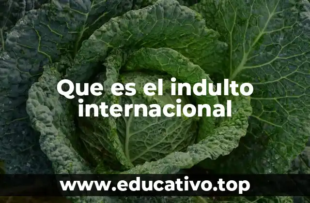 Que es el indulto internacional