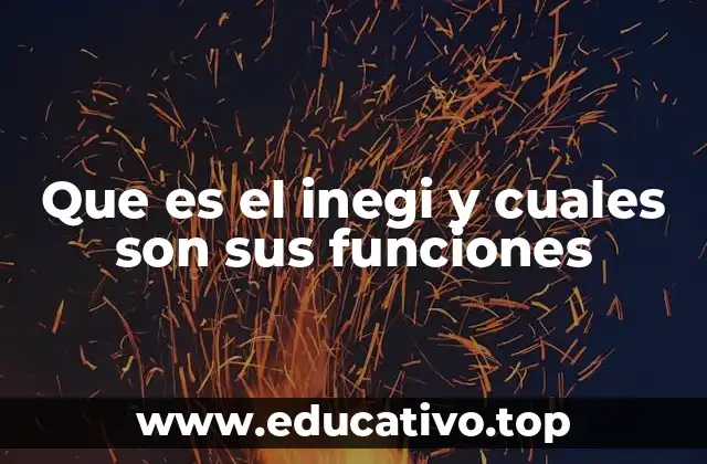 Que es el inegi y cuales son sus funciones