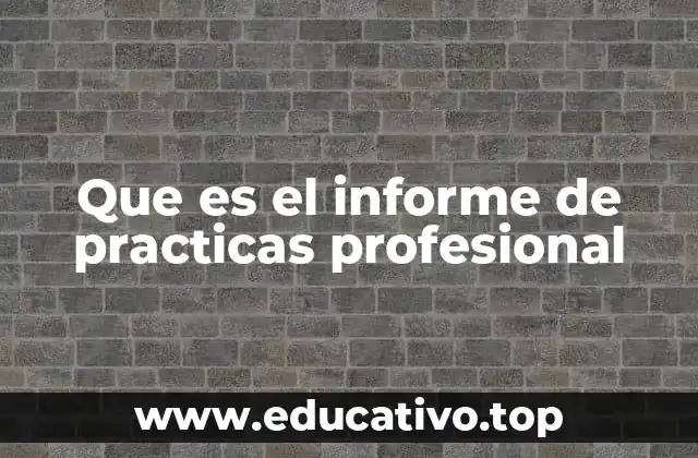 Que es el informe de practicas profesional