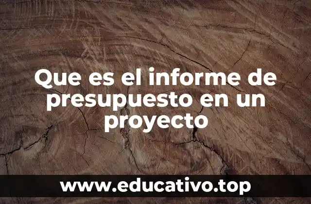 Que es el informe de presupuesto en un proyecto