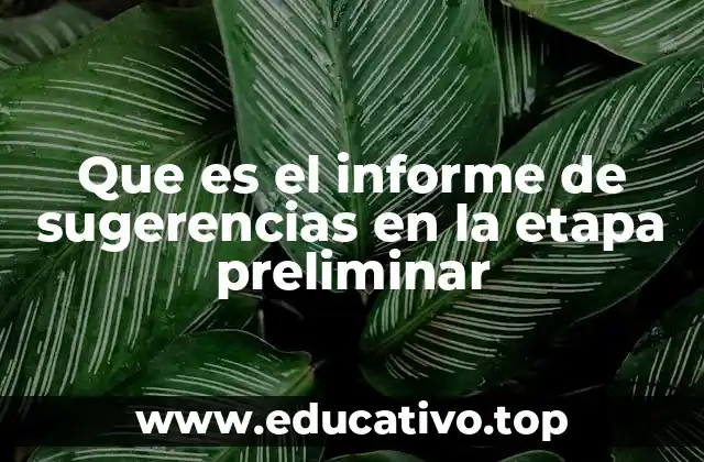 Que es el informe de sugerencias en la etapa preliminar