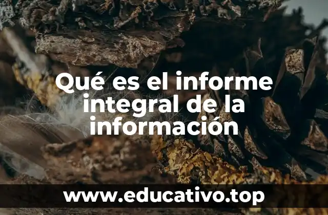 Qué es el informe integral de la información