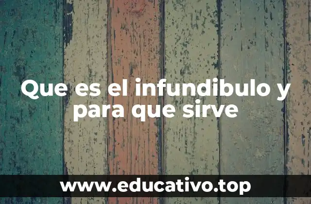 Estructura y ubicación del infundibulo