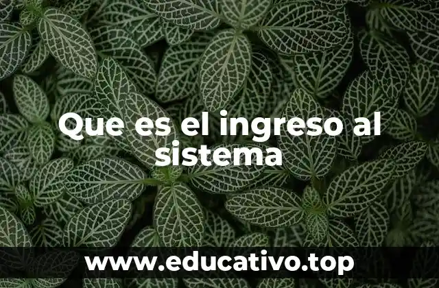 Que es el ingreso al sistema