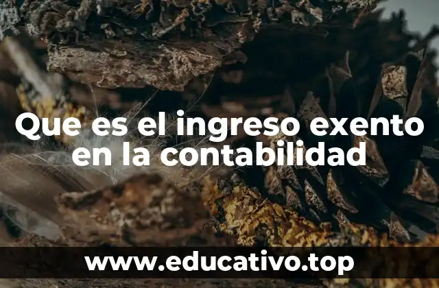 Que es el ingreso exento en la contabilidad