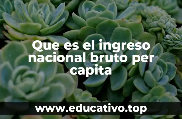 Que es el ingreso nacional bruto per capita