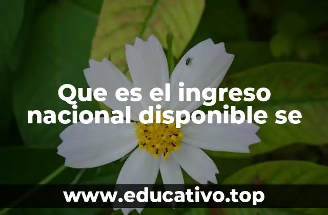 Que es el ingreso nacional disponible se