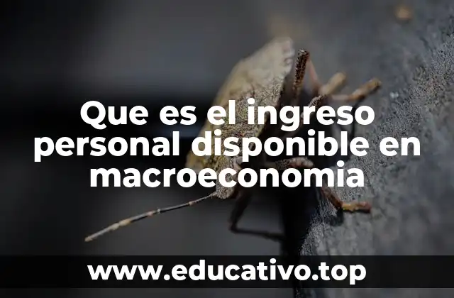 Que es el ingreso personal disponible en macroeconomia