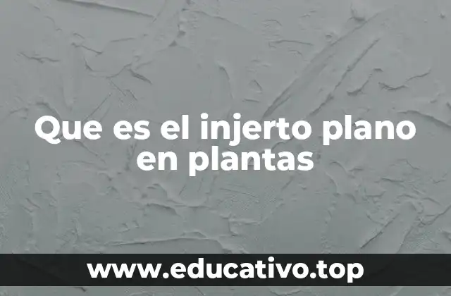Que es el injerto plano en plantas