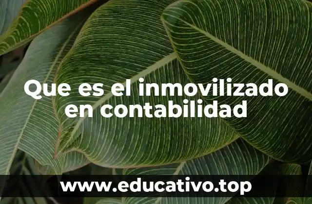 Que es el inmovilizado en contabilidad