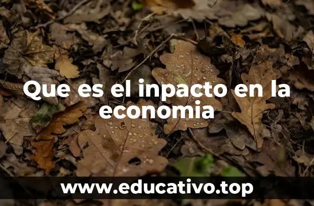 Que es el inpacto en la economia