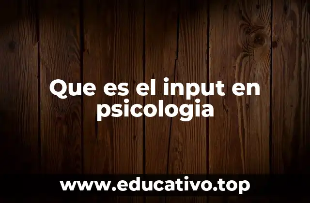 Que es el input en psicologia