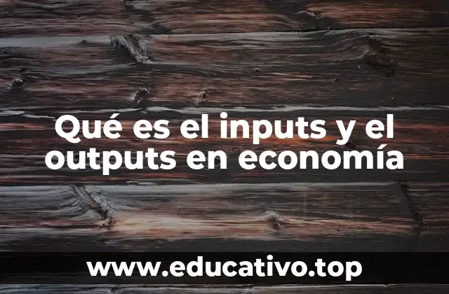 Qué es el inputs y el outputs en economía