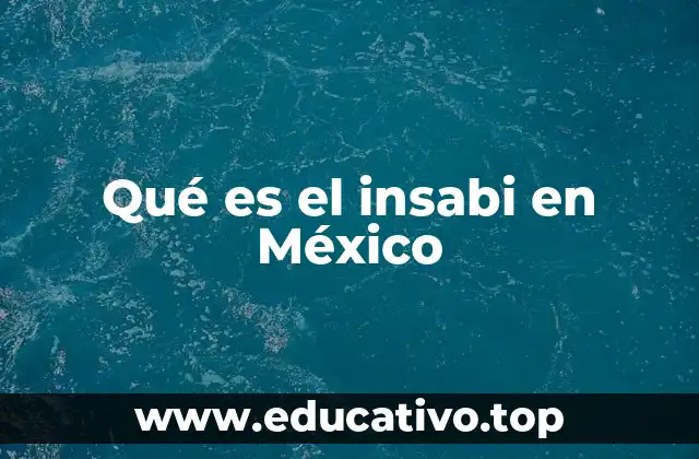 Qué es el insabi en México