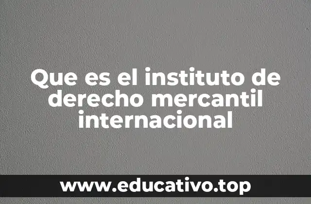 Que es el instituto de derecho mercantil internacional