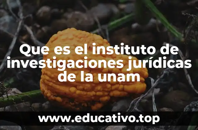 Que es el instituto de investigaciones jurídicas de la unam