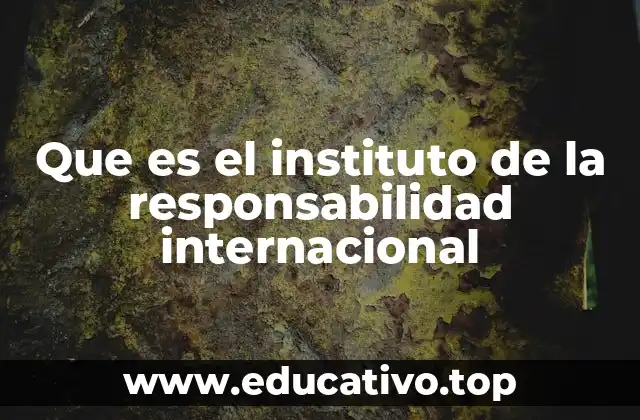 Que es el instituto de la responsabilidad internacional
