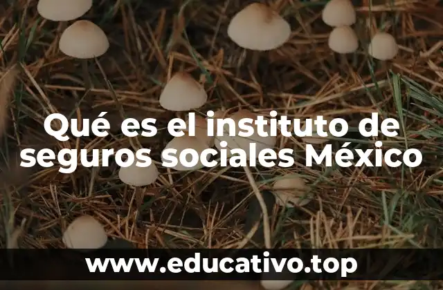 El papel del ISSSTE en la protección social de México