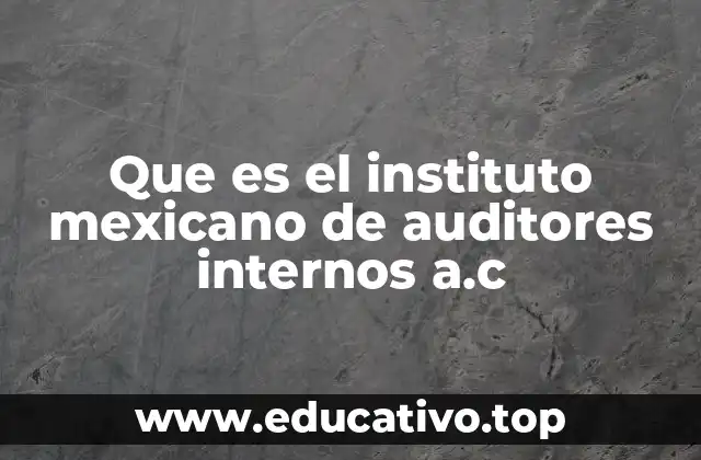 Que es el instituto mexicano de auditores internos a.c