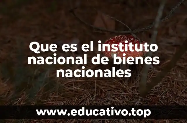 Que es el instituto nacional de bienes nacionales